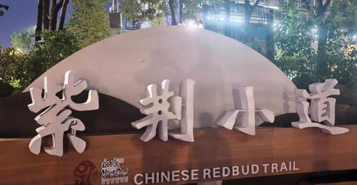 丽州五金盛景与古韵新篇