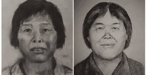 梅姨案审查起诉阶段 受害者家属与警方追凶路上的多元参与时刻
