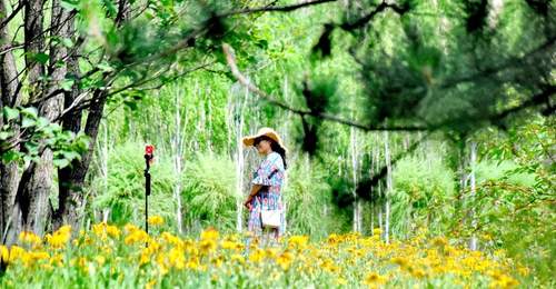 逛知青公园 赏夏日美景