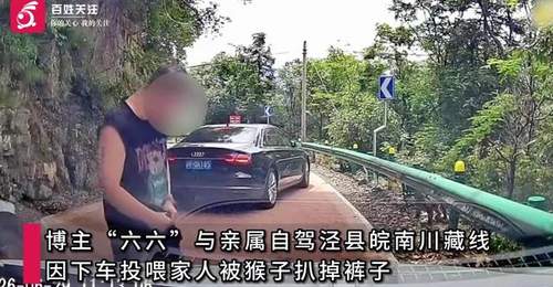 游客自驾安徽皖南川藏线遇猴群,下车投喂小猴时被护崽心切的大猴扒掉其裤子,当地文旅局回应