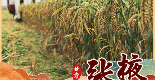 (图表·海报)中国之城丨甘肃张掖:“蜂腰之地”山河万象