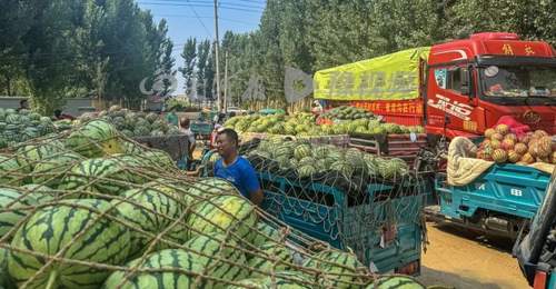 河南一景区按双倍市场价收购近100吨西瓜,免费送游客品尝