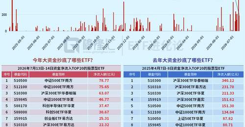 神秘大资金出手了。。