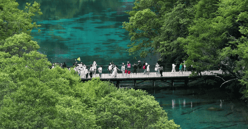 【热议】九寨沟湖水靠染色才呈现蓝色？官方辟谣并详解斑斓水色成因