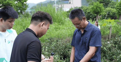 探秘珍稀紫芽茶,溯源千年柏塘茶史|我院 “笃志向善”突击队实地走访茶种培育园