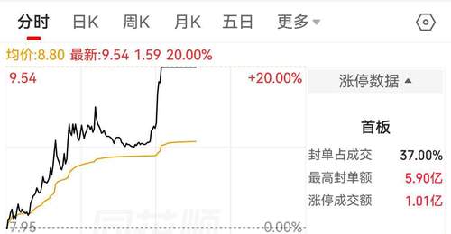 双杰电气午后20CM涨停背后隐忧：投资者维权呼声高涨
