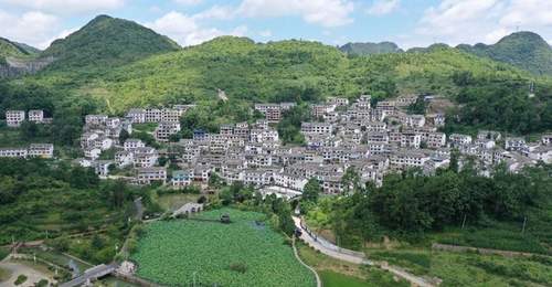 龙宫镇桃子村多元活动拉满清凉体验，双认证加持引游客打卡长住