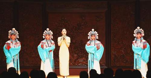 西南京剧“梅花”齐聚贵阳,多元活动牵起戏迷专属体验