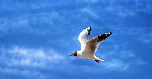 居延海多元体验全攻略：观景台选位与光影互动指南