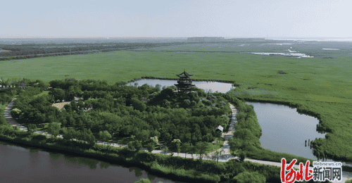 沧州南大港湿地打造多元研学文旅场景 半年揽客超三十二万人次