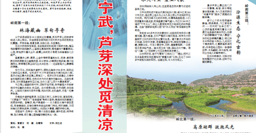 到宁武芦芽山参与互动 感受多元活动与清凉体验