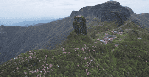 来铜仁梵净山参与多元文旅活动 沉浸式体验山海康养与古城烟火