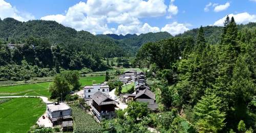 务川沈家坝民宿成亲子避暑好去处 吃住玩一站式轻松游遍周边山水古迹