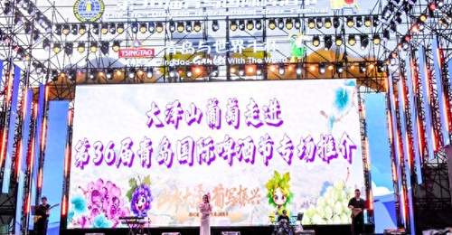 来青岛国际啤酒节赴甜蜜之约 到平度大泽山沉浸式体验葡萄采摘与田园文旅