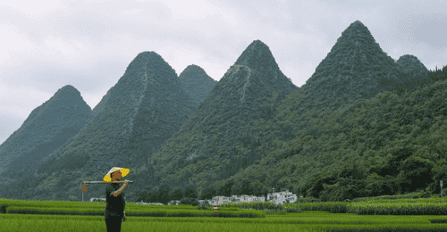 万峰林逛吃必打卡 亲手赴一场酸汤里的布依族土菜盛宴