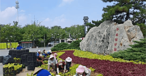 来齐盛湖公园解锁品质游园新体验 市公园城市服务中心多元举措升级游玩感受