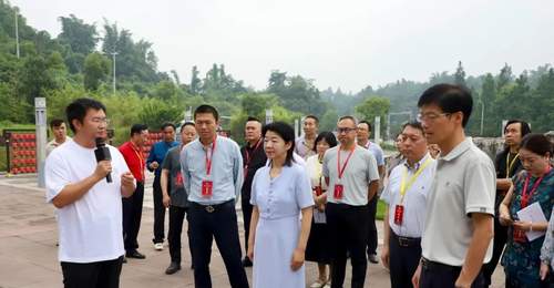重庆大足专题协商会邀你体验多元乡村旅游新玩法 助力农房盘活增收