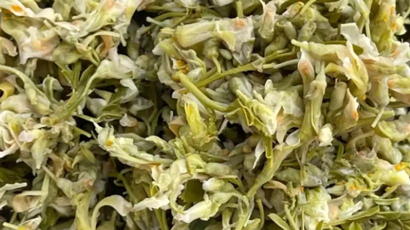 春日上山采苦刺花 手作酸菜炒野菜解锁云南时令清甘滋味