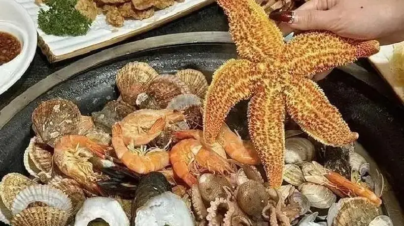 今年夏天来胶东半岛,解锁品酒瑜伽、赶海夜游等多元清凉体验,沉浸式享受慢节奏消夏之旅