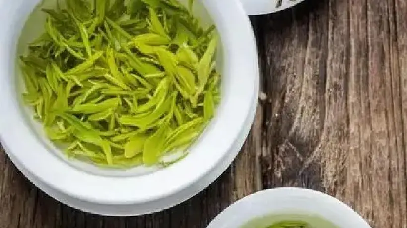 三伏天适合喝哪些茶?
