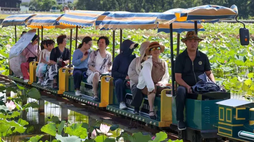 福建武夷山:五夫荷韵 盛夏逐芳