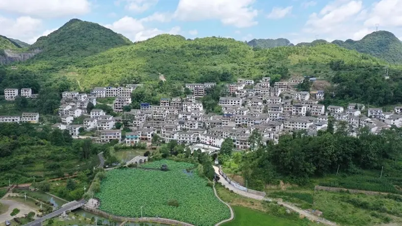 龙宫镇桃子村多元活动拉满清凉体验，双认证加持引游客打卡长住