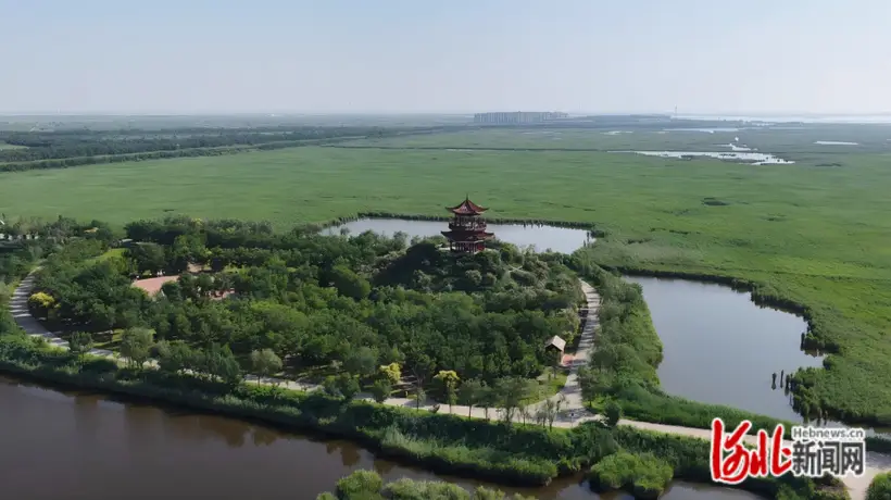 沧州南大港湿地打造多元研学文旅场景 半年揽客超三十二万人次
