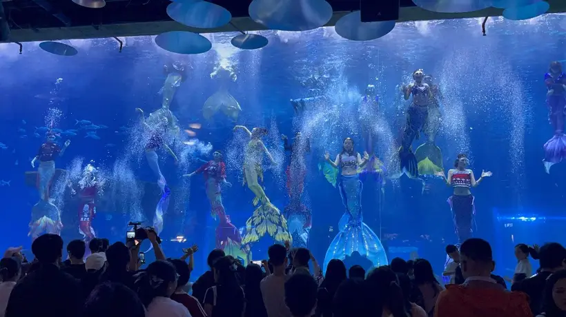 昆明融创海世界多元体验嗨爆夏日 民族风人鱼秀与沉浸式互动项目获游客热捧
