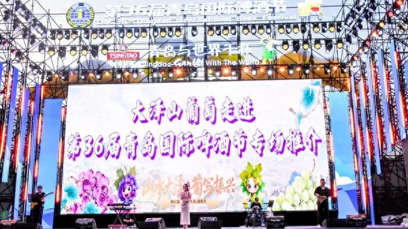 来青岛国际啤酒节赴甜蜜之约 到平度大泽山沉浸式体验葡萄采摘与田园文旅