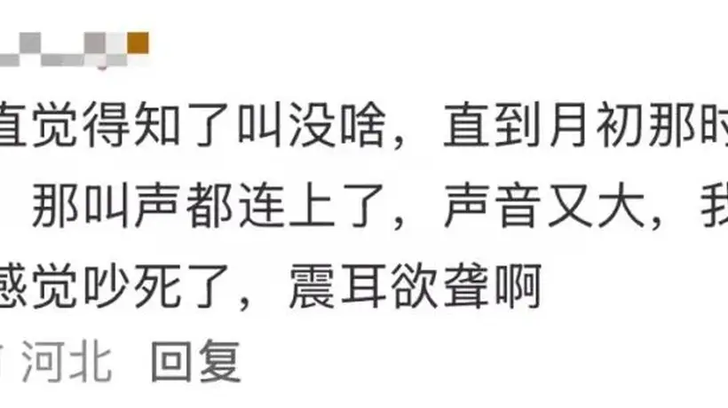 夏日蝉鸣超80分贝致多人听力受损 这些场景的体验者要警惕噪声伤害