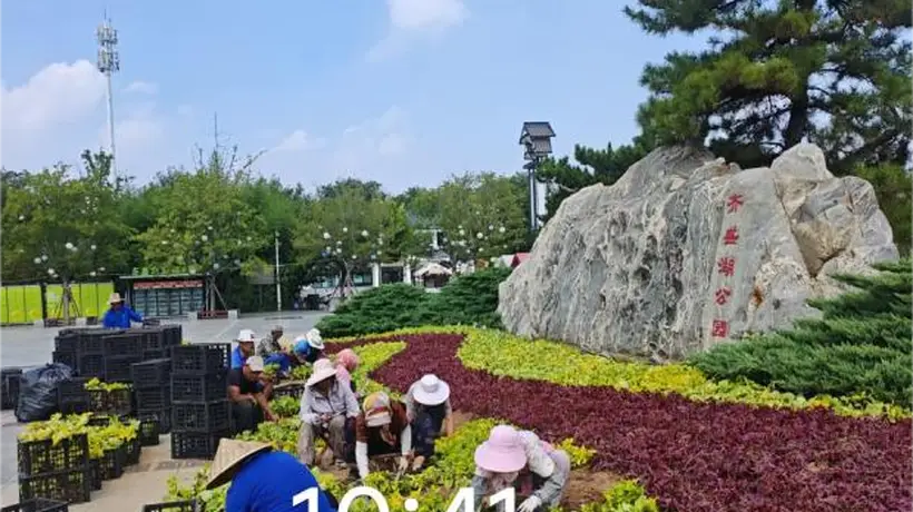 来齐盛湖公园解锁品质游园新体验 市公园城市服务中心多元举措升级游玩感受