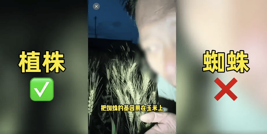 农业网红诋毁袁隆平成果，不能只封号就完事