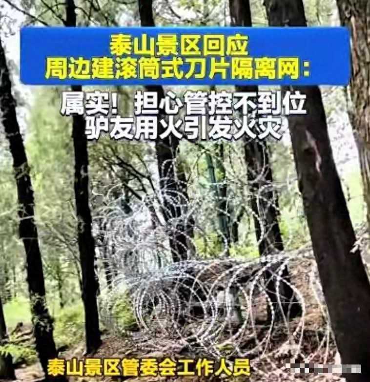 泰山2500万刺网拆除后，大家仍在追问：这笔公共开销，到底谁来买单