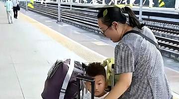 湖北母子千里赴藏寻夫,一场精心筹备的团圆惊喜,却成无休止争吵