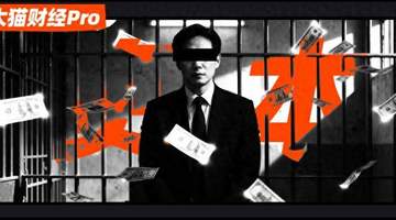 90后董事长上任仅3个月即遭刑事立案，昔日合作伙伴反目成仇