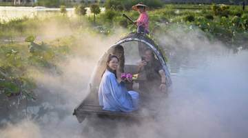 2026年8月江苏昆山南渔村百亩荷塘开启泛舟纳凉之旅 市民游客沉浸式体验水乡仲夏意趣
