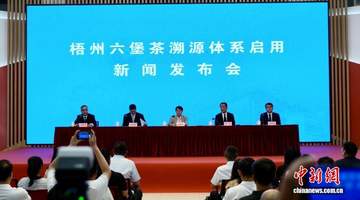 梧州六堡茶溯源体系正式启用