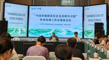 非遗茶香耀盛会|赵李桥茶厂受邀亮相全国传承发展交流活动