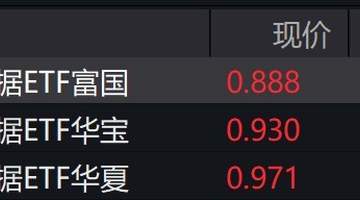 大数据概念股走强，大数据ETF涨超4%