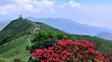 姑婆山国家森林公园成功入选2026年全国森林富氧型避暑气候资源推荐名录
