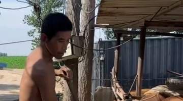 河北邯郸一牛场疑奴役残障人员多年,寻亲家属已赴现场,当地警方:正在调查情况