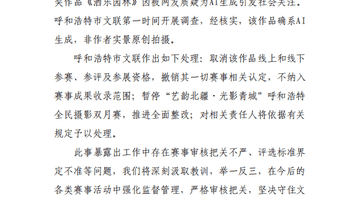 摄影比赛一等奖作品被质疑为AI生成,呼和浩特通报:该作品确系AI生成