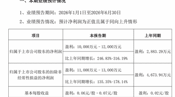 兴森科技:上半年归母净利润同比预增246.83%至316.19%