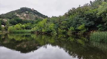恢复游览!雨后小珠山“小飞瀑“惊艳登场!
