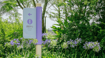 夏日限定浪漫!来永安湖走“花路”啦