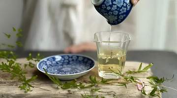 温度，是白茶风味的“隐形雕琢者”