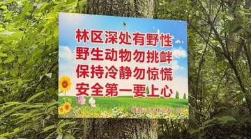夏日户外安全警示:远离未开发区域,防范潜在风险