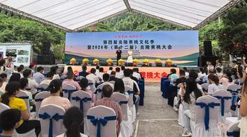 第四届炎陵黄桃文化季启幕 推出三条精品路线 应届中高考生可免费游玩三大景区