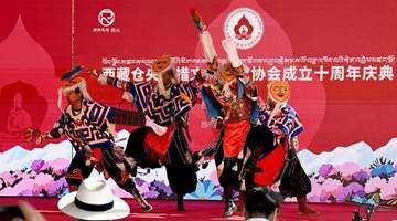 西藏仓央嘉措文化研究协会成立十周年 搭建规范化学术研究平台
