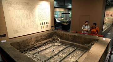 走进一眼万年滕州考古新发现特展 共赴近万年文明溯源之旅